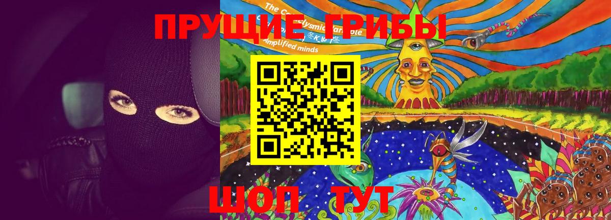 Галлюциногенные грибы GOLDEN TEACHER  Псилоцибиновые грибы Psilocybine cubensis  Коммунар  хочу   Вход с VPN 